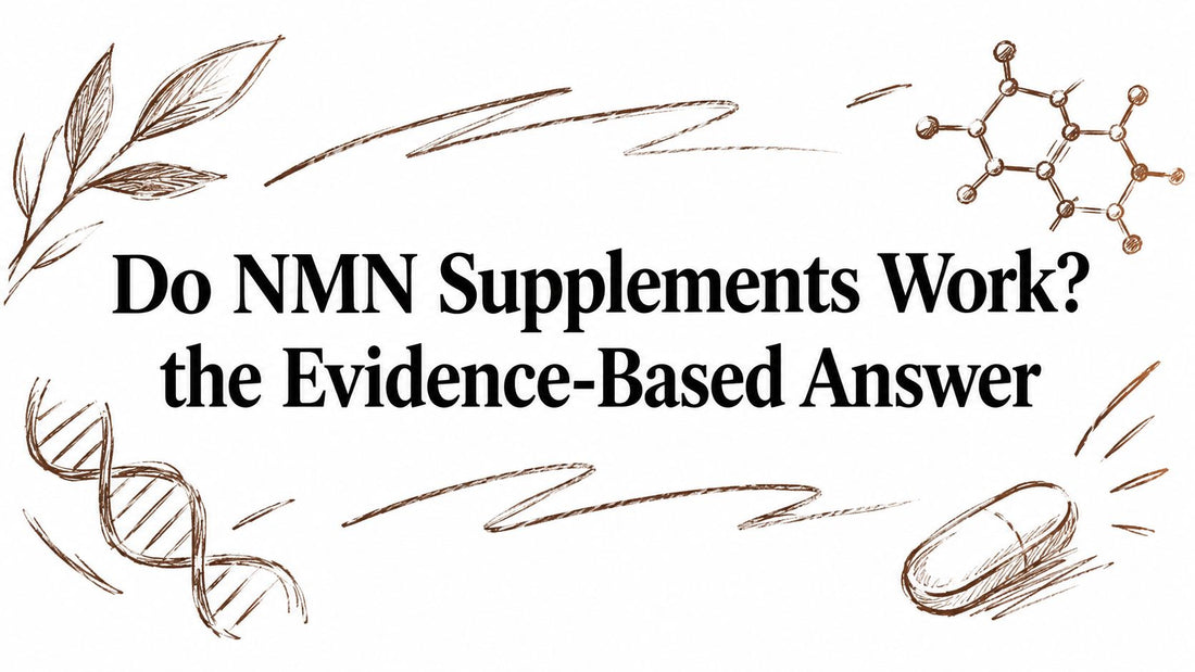 Do NMN Supplements Work? the Evidence-Based Answer