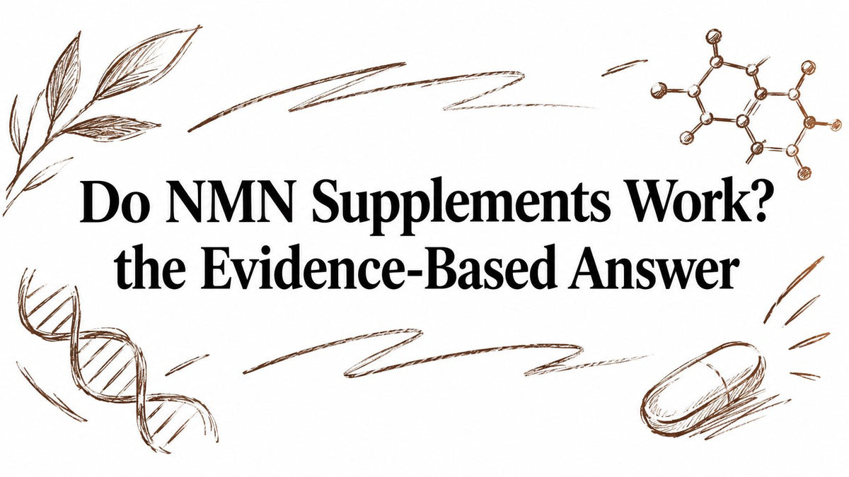 Do NMN Supplements Work? the Evidence-Based Answer