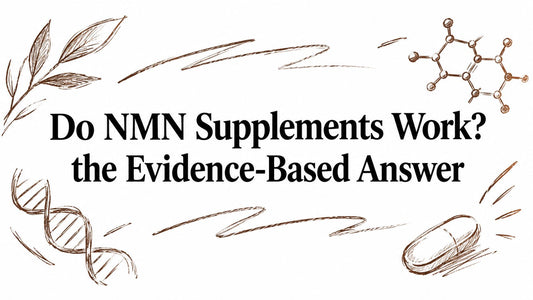 Do NMN Supplements Work? the Evidence-Based Answer