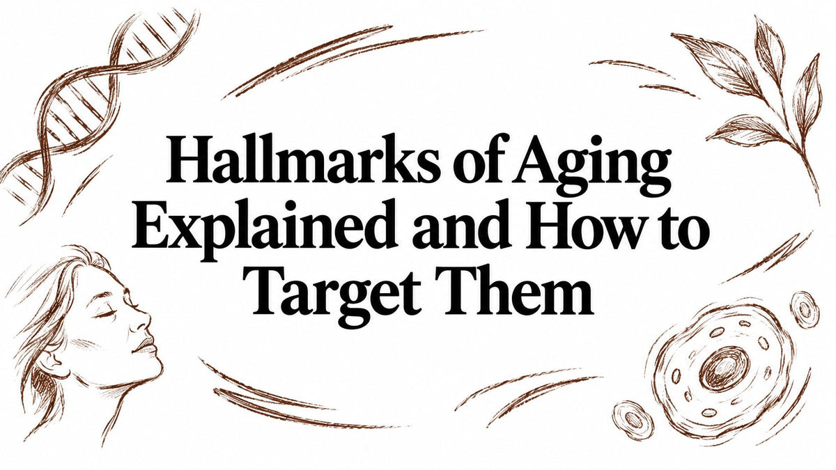 Hallmarks of Aging Explained and How to Target Them