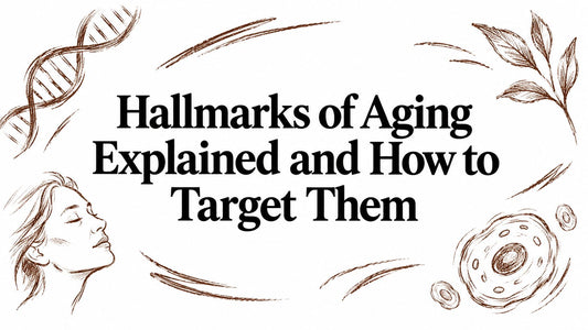 Hallmarks of Aging Explained and How to Target Them