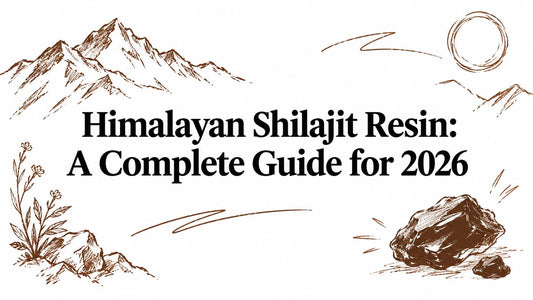 Himalayan Shilajit Resin: A Complete Guide for 2026