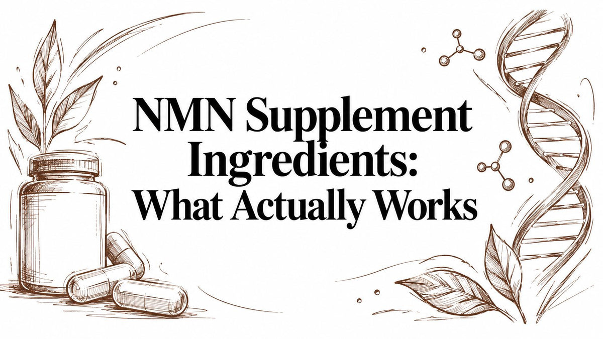 NMN Supplement Ingredients: What Actually Works