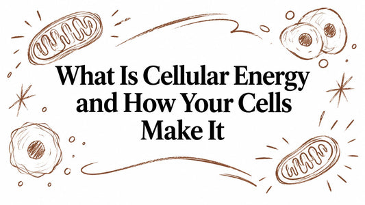What Is Cellular Energy and How Your Cells Make It