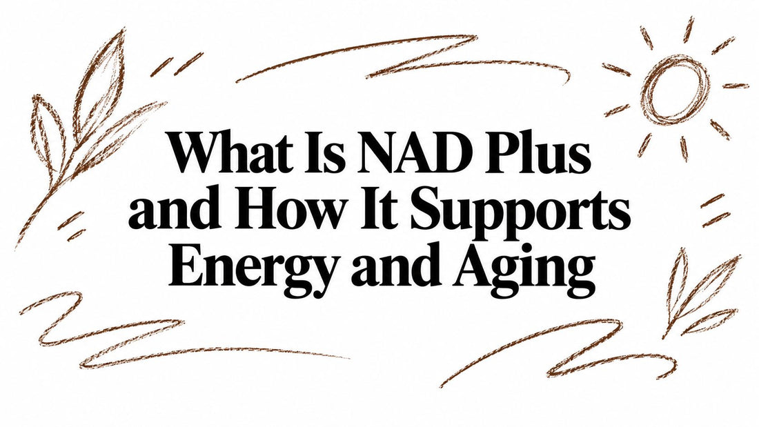 What Is NAD Plus and How It Supports Energy and Aging