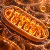 Ubiquinol CoQ10